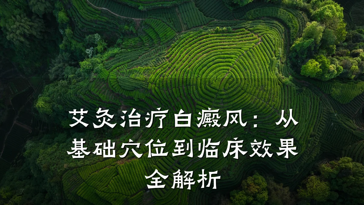 艾灸治疗白癜风:从基础穴位到临床效果全解析