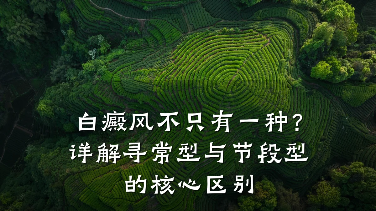 白癜风不只有一种?详解寻常型与节段型的核心区别