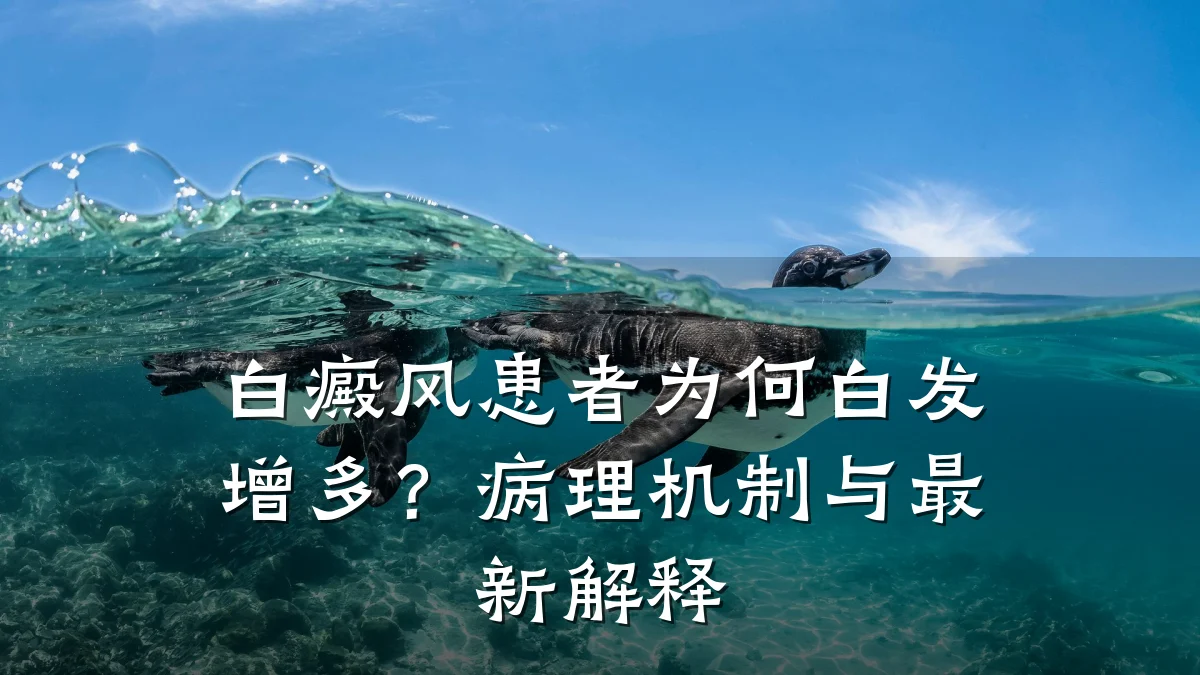 白癜风患者为何白发增多?病理机制与最新解释