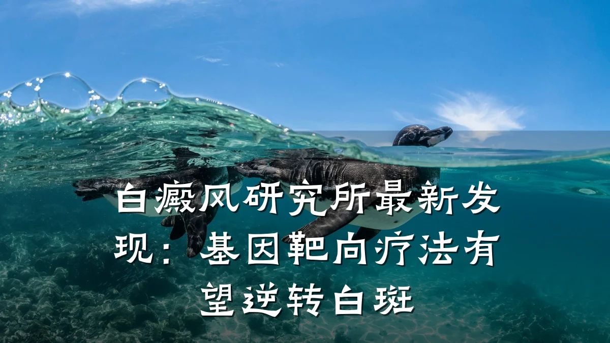 白癜风研究所最新发现:基因靶向疗法有望逆转白斑
