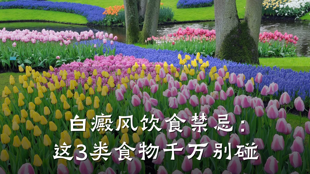 白癜风饮食禁忌:这3类食物千万别碰