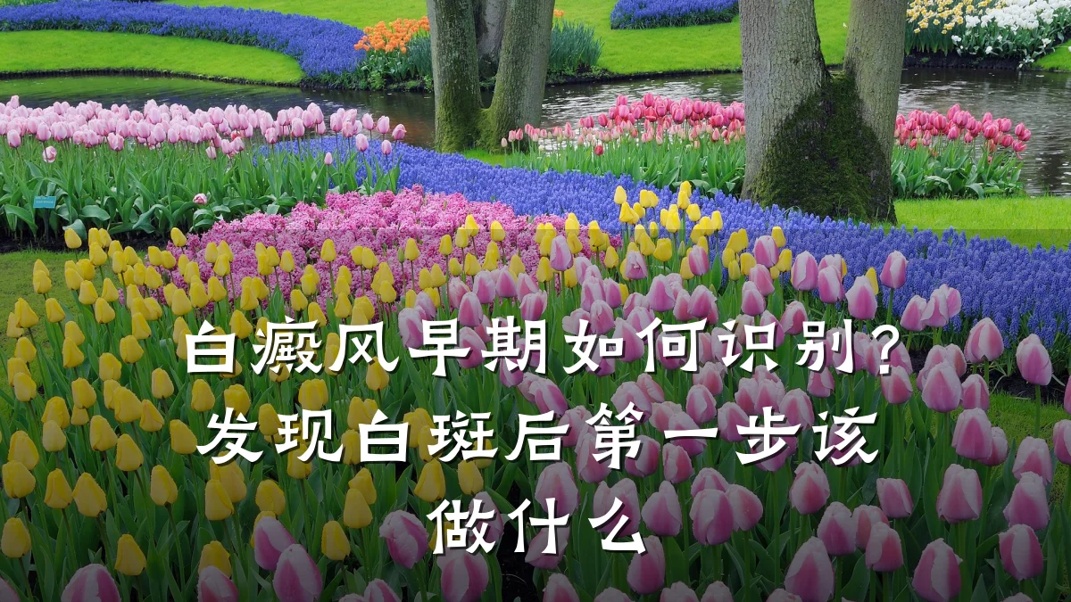 白癜风早期如何识别?发现白斑后第一步该做什么