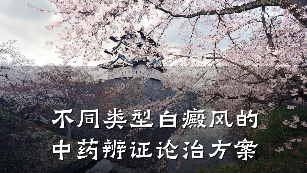不同类型白癜风的中药辨证论治方案