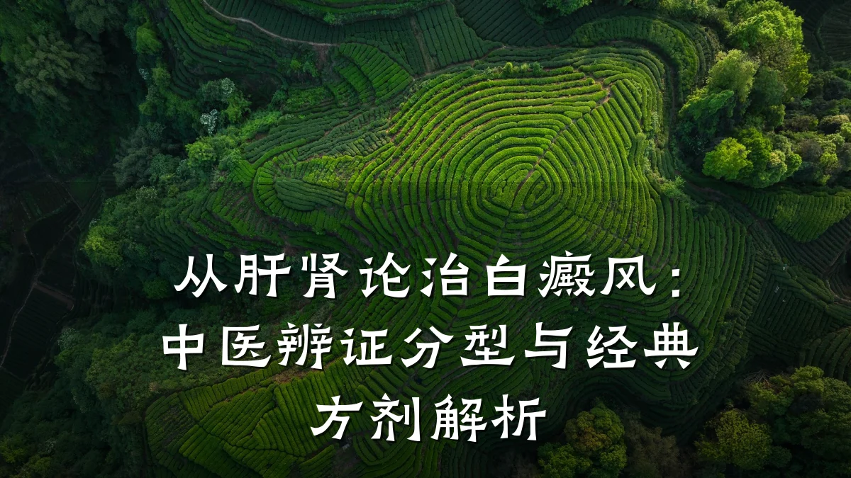 从肝肾论治白癜风：中医辨证分型与经典方剂解析