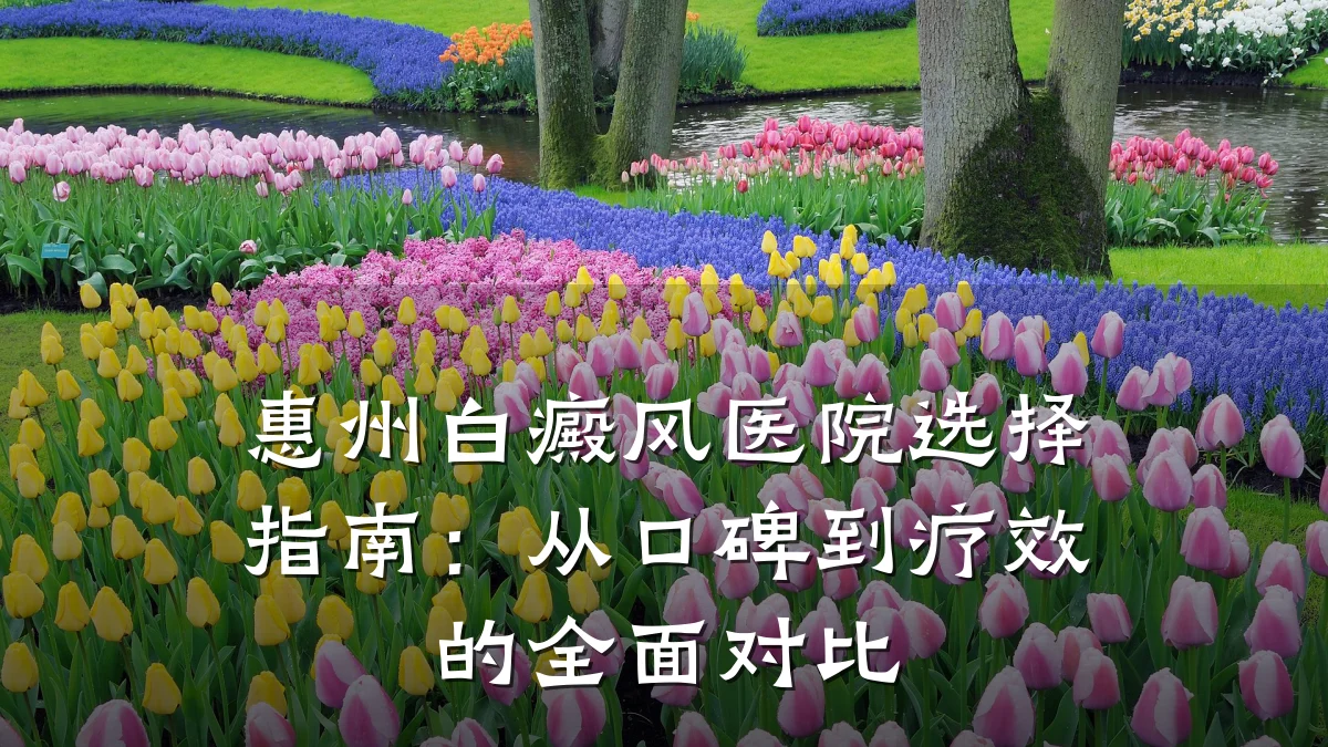 惠州白癜风医院选择指南:从口碑到疗效的全面对比