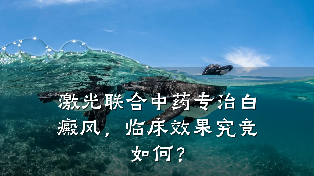 激光联合中药专治白癜风,临床效果究竟如何?