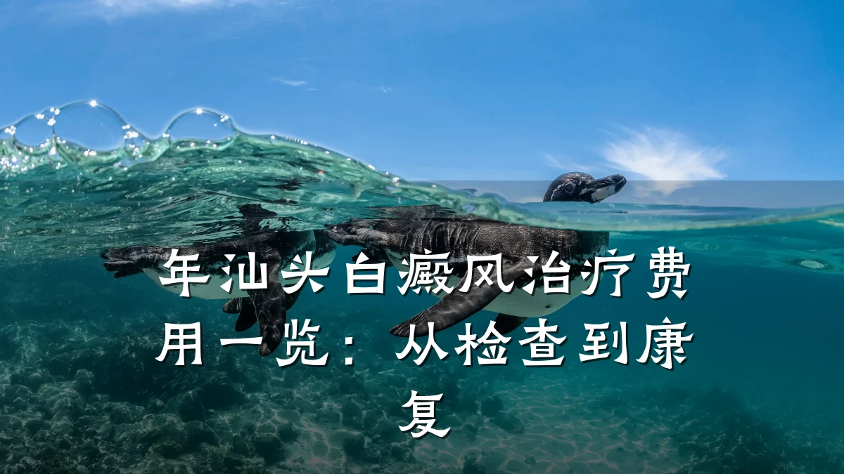 年汕头白癜风治疗费用一览:从检查到康复