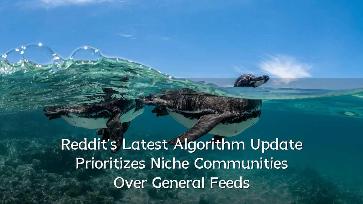 Reddit's Latest Algorithm Update Prioritizes Niche Communities Over General Feeds