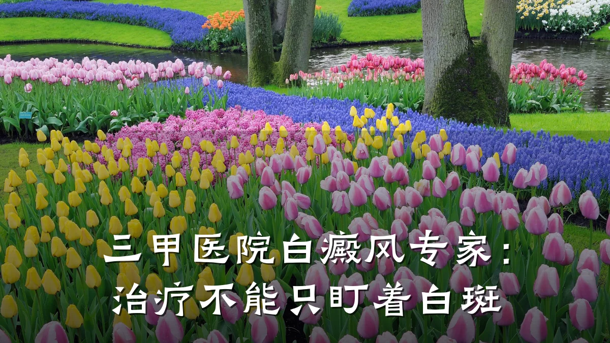 三甲医院白癜风专家:治疗不能只盯着白斑