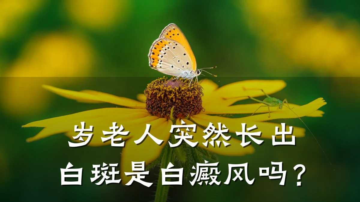 岁老人突然长出白斑是白癜风吗?