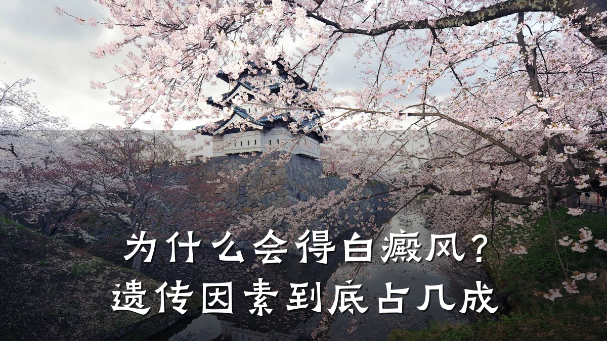 为什么会得白癜风?遗传因素到底占几成
