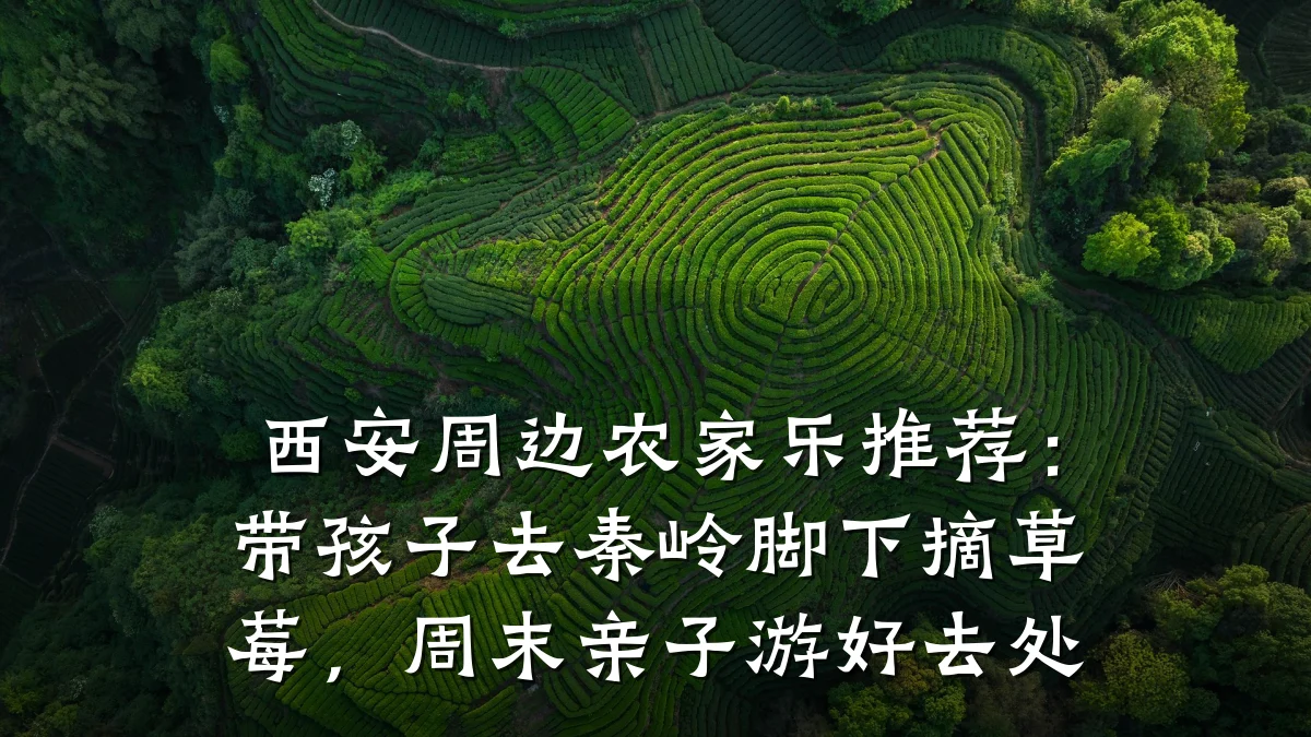 西安周边农家乐推荐:带孩子去秦岭脚下摘草莓,周末亲子游好去处