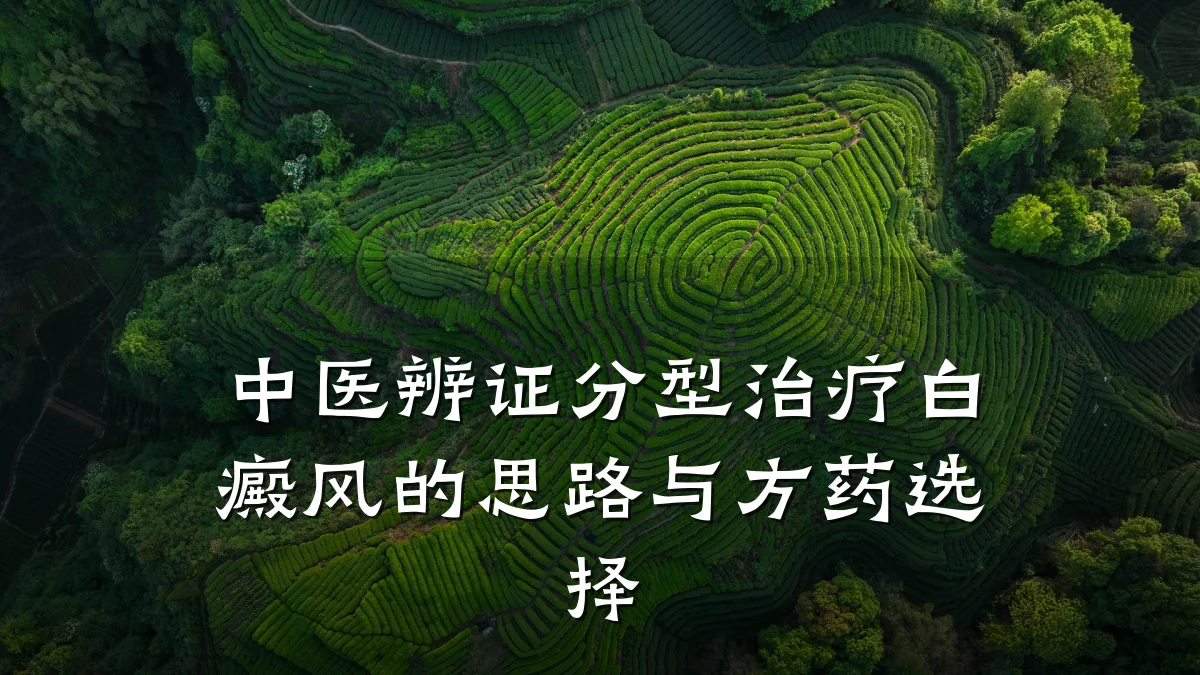 中医辨证分型治疗白癜风的思路与方药选择