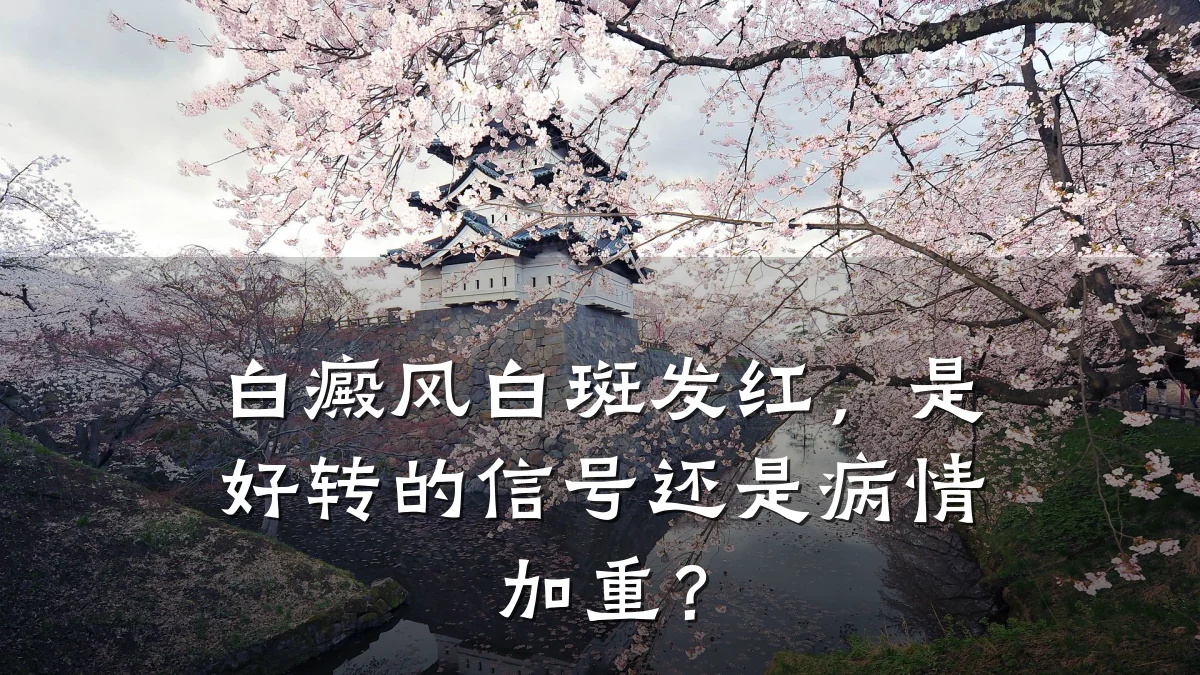 白癜风白斑发红,是好转的信号还是病情加重?