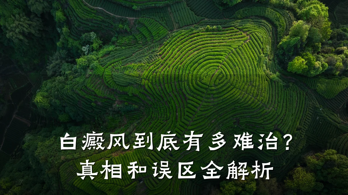 白癜风到底有多难治？真相和误区全解析