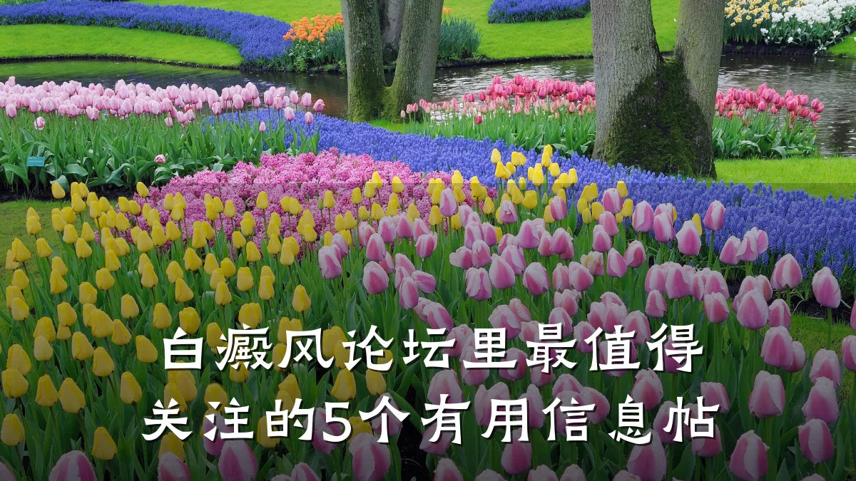 白癜风论坛里最值得关注的5个有用信息帖