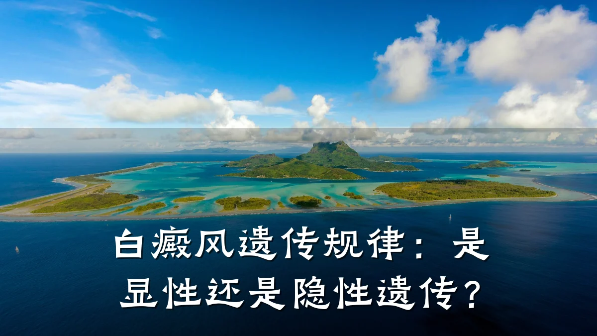白癜风遗传规律:是显性还是隐性遗传?