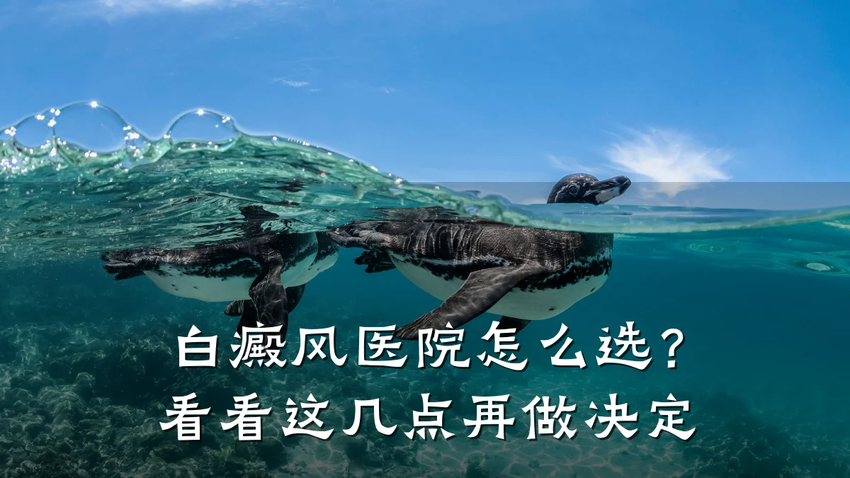 白癜风医院怎么选?看看这几点再做决定
