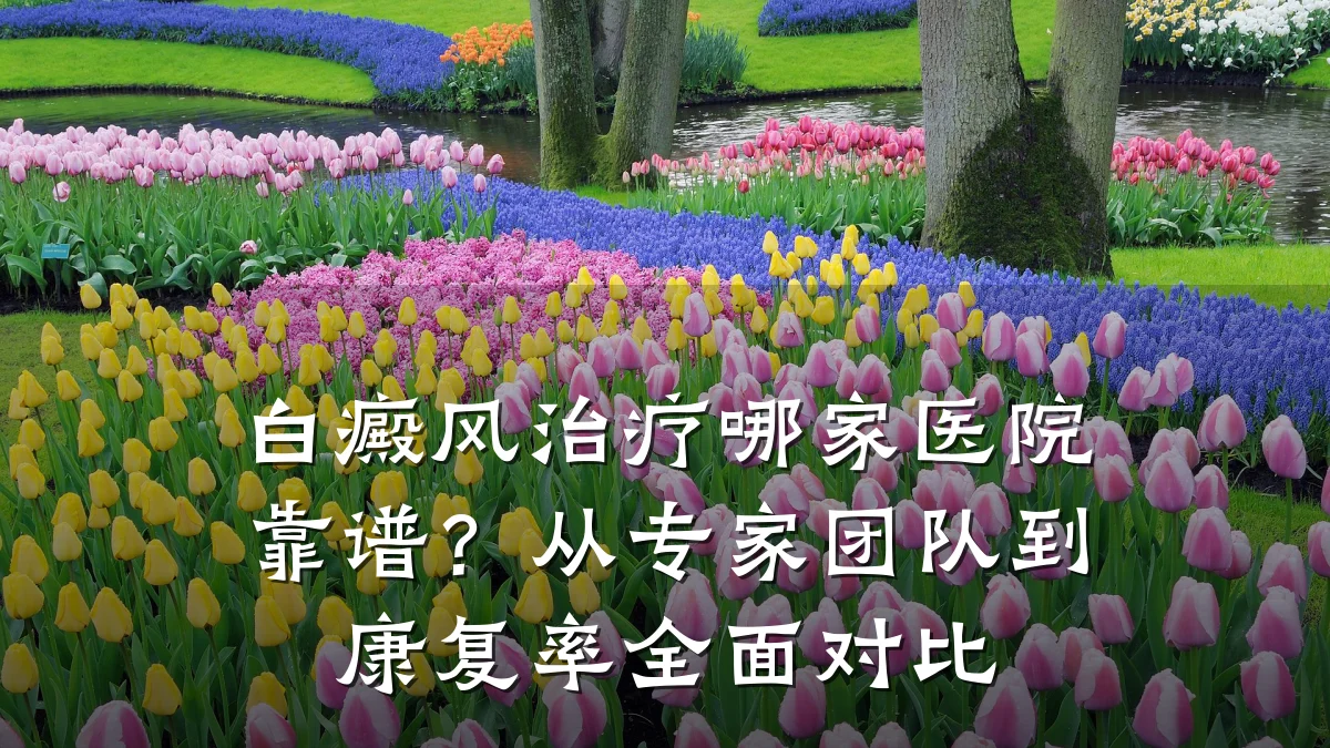 白癜风治疗哪家医院靠谱?从专家团队到康复率全面对比