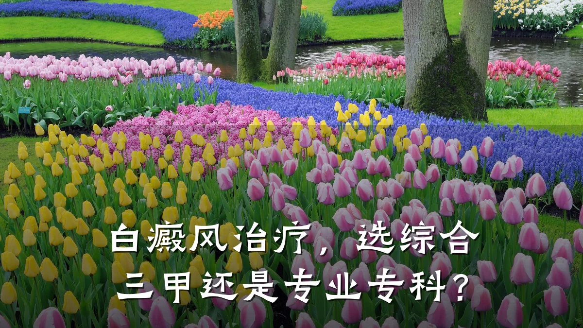 白癜风治疗,选综合三甲还是专业专科?