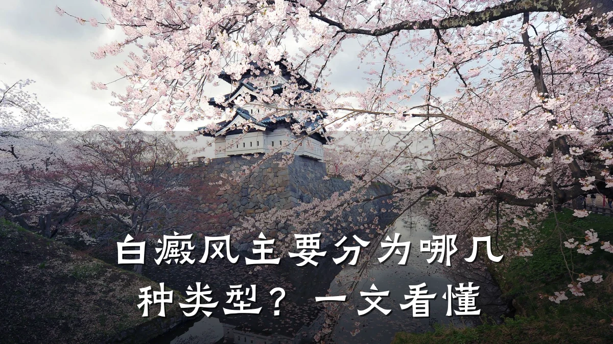 白癜风主要分为哪几种类型?一文看懂
