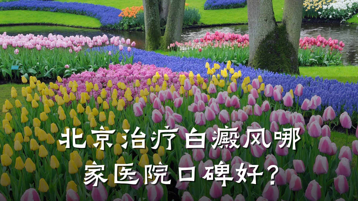 北京治疗白癜风哪家医院口碑好?