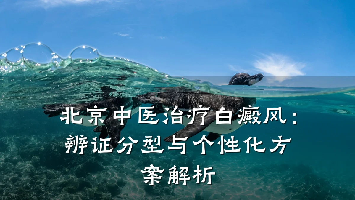 北京中医治疗白癜风：辨证分型与个性化方案解析
