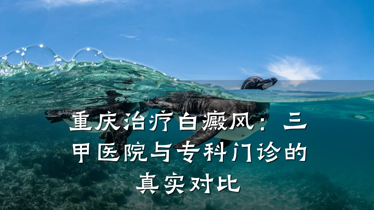 重庆治疗白癜风:三甲医院与专科门诊的真实对比
