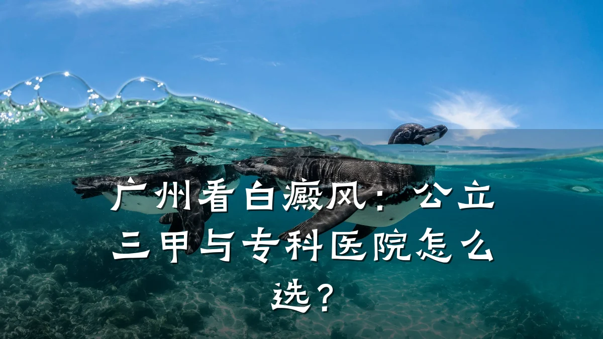 广州看白癜风:公立三甲与专科医院怎么选?