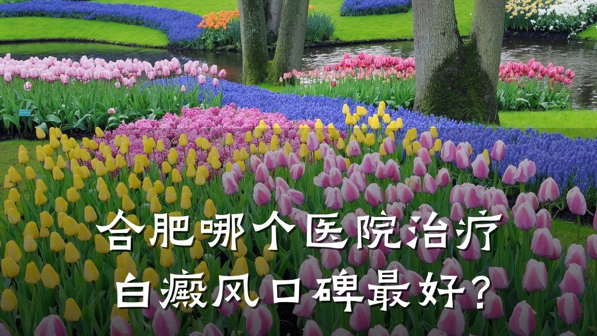 合肥哪个医院治疗白癜风口碑最好?