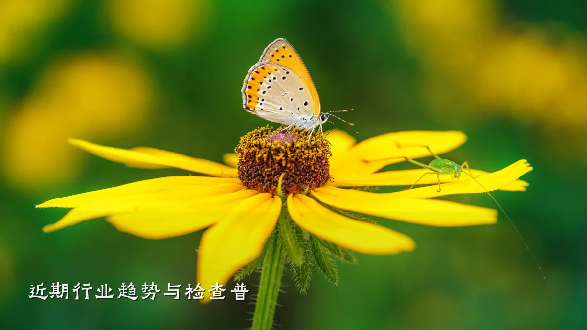 近期行业趋势与检查普