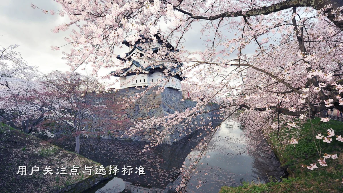 用户关注点与选择标准