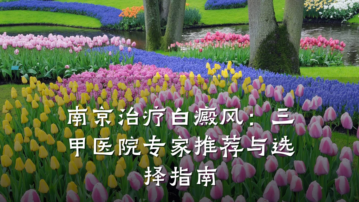 南京治疗白癜风:三甲医院专家推荐与选择指南