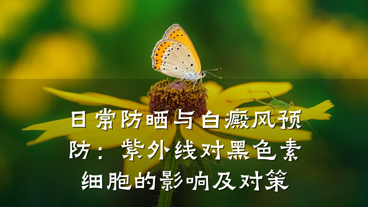 日常防晒与白癜风预防:紫外线对黑色素细胞的影响及对策