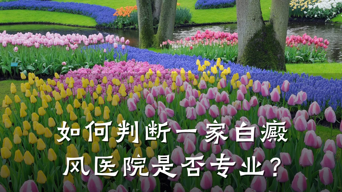 如何判断一家白癜风医院是否专业?