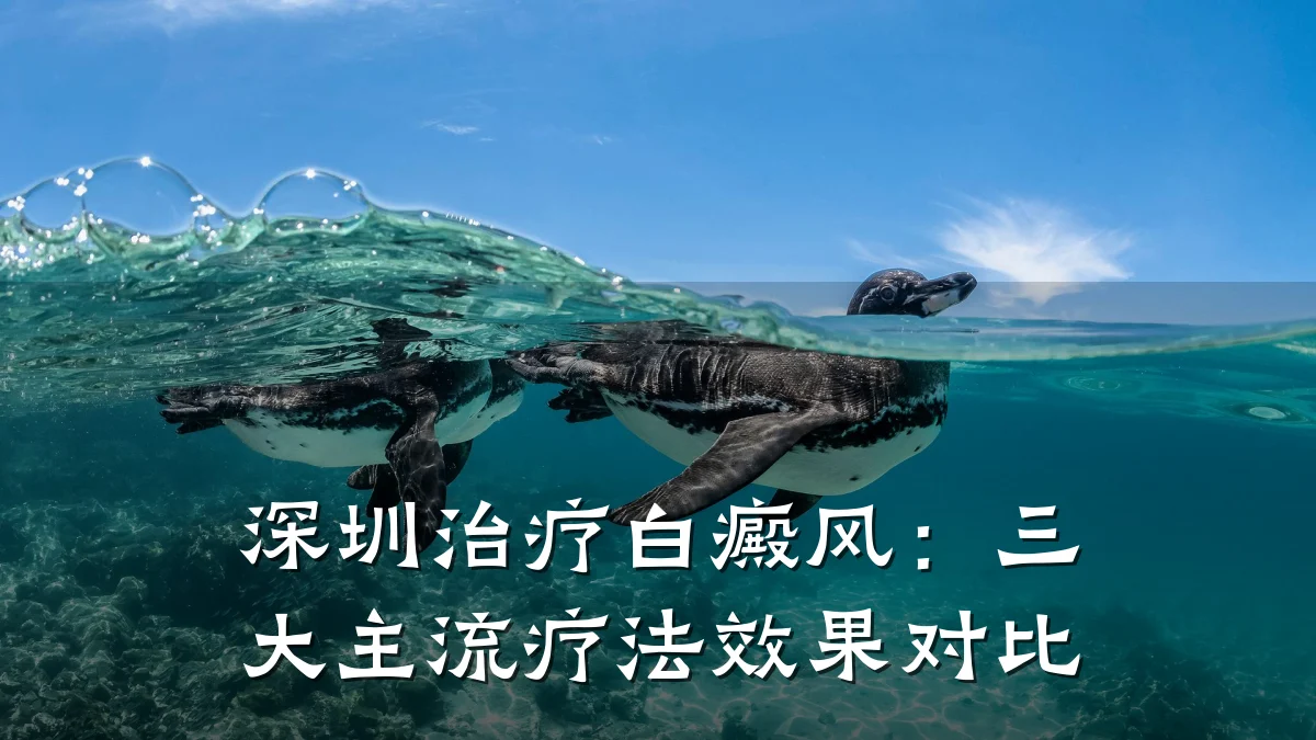 深圳治疗白癜风:三大主流疗法效果对比