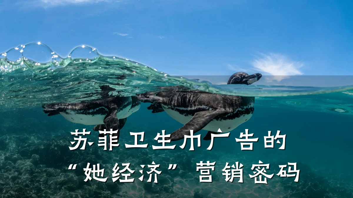 苏菲卫生巾广告的“她经济”营销密码