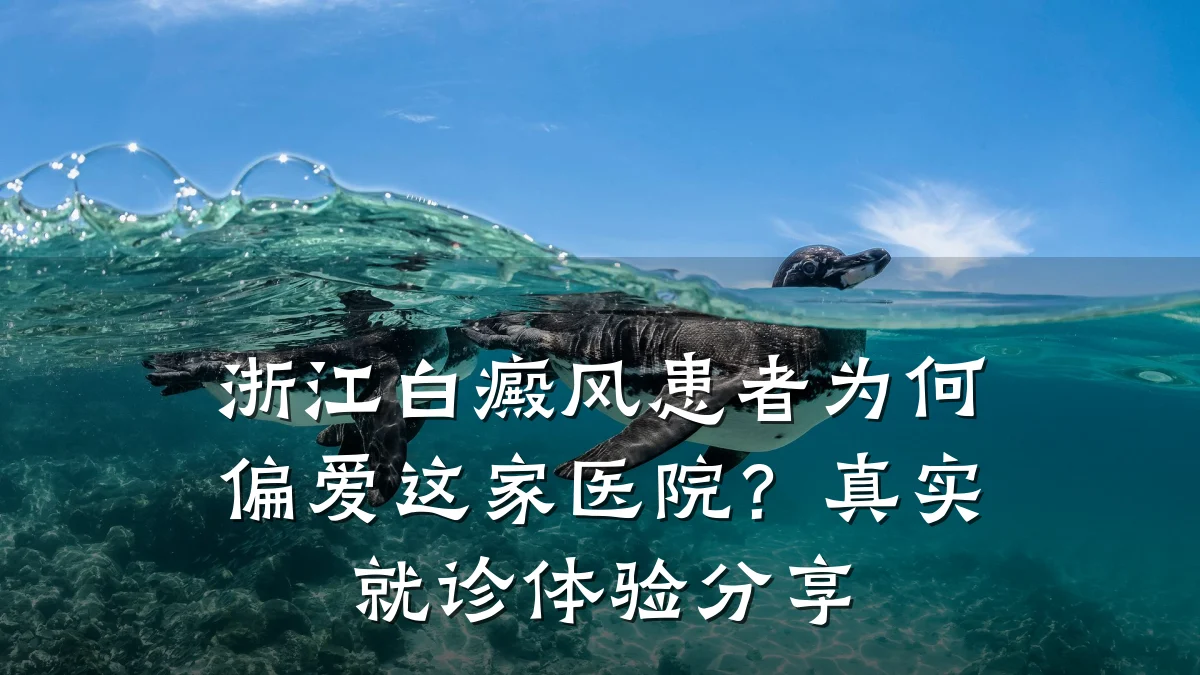 浙江白癜风患者为何偏爱这家医院?真实就诊体验分享