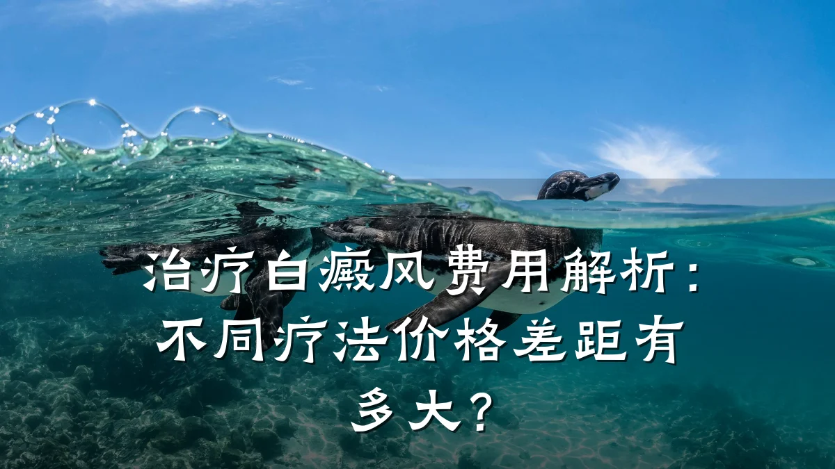 治疗白癜风费用解析：不同疗法价格差距有多大？