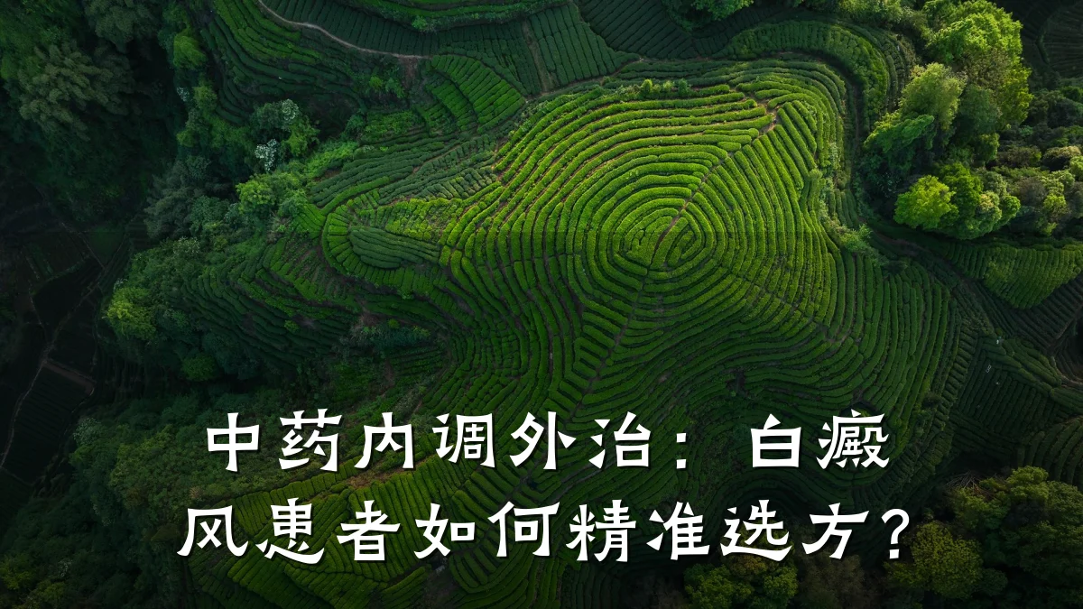 中药内调外治:白癜风患者如何精准选方?