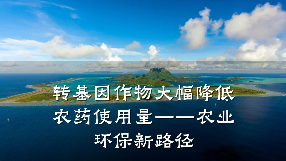 转基因作物大幅降低农药使用量——农业环保新路径