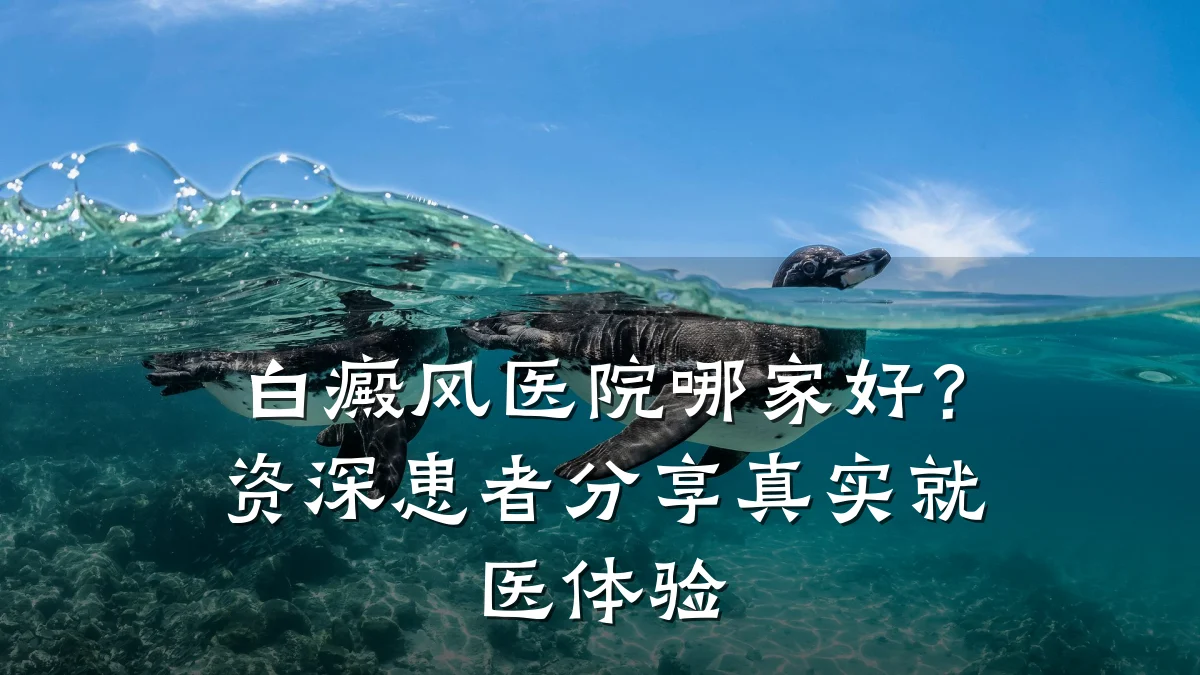 白癜风医院哪家好?资深患者分享真实就医体验