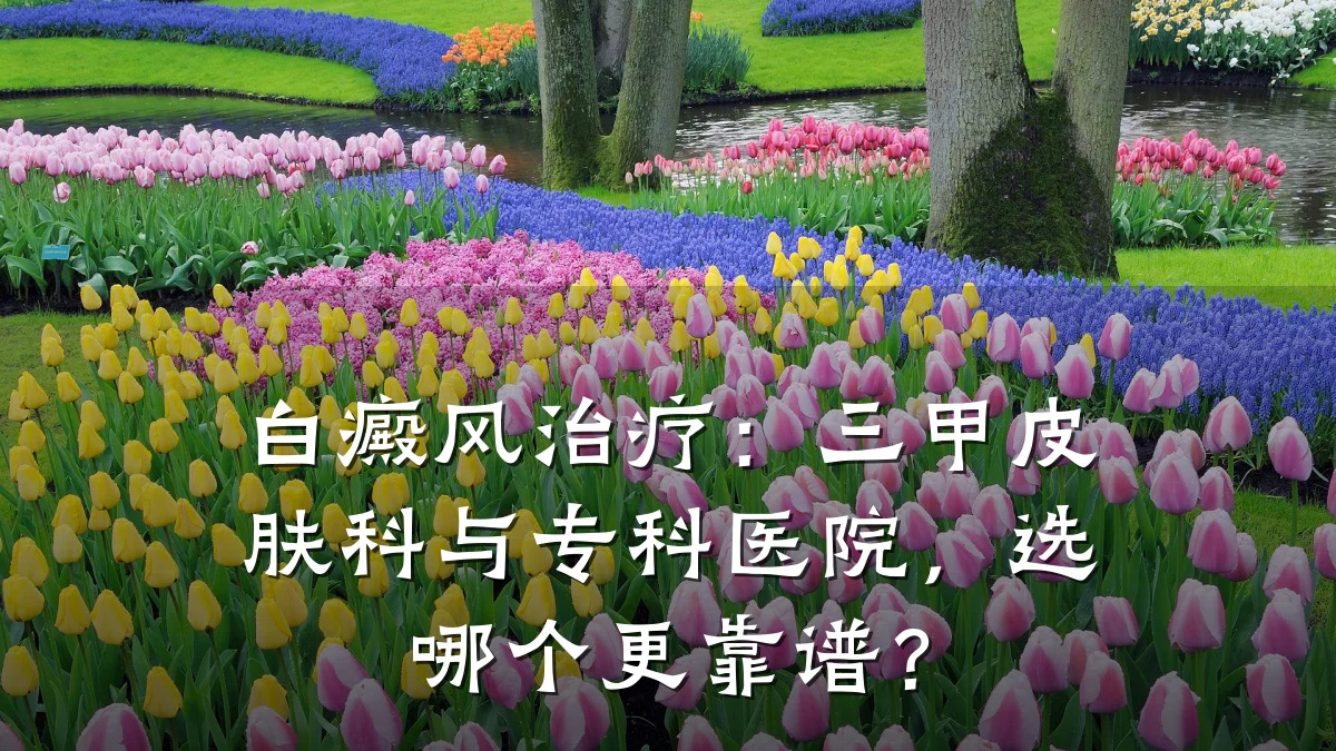 白癜风治疗:三甲皮肤科与专科医院,选哪个更靠谱?