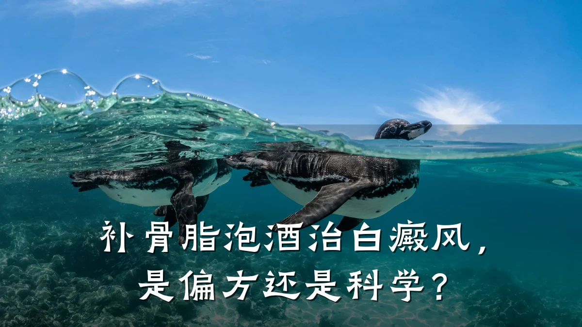 补骨脂泡酒治白癜风,是偏方还是科学?