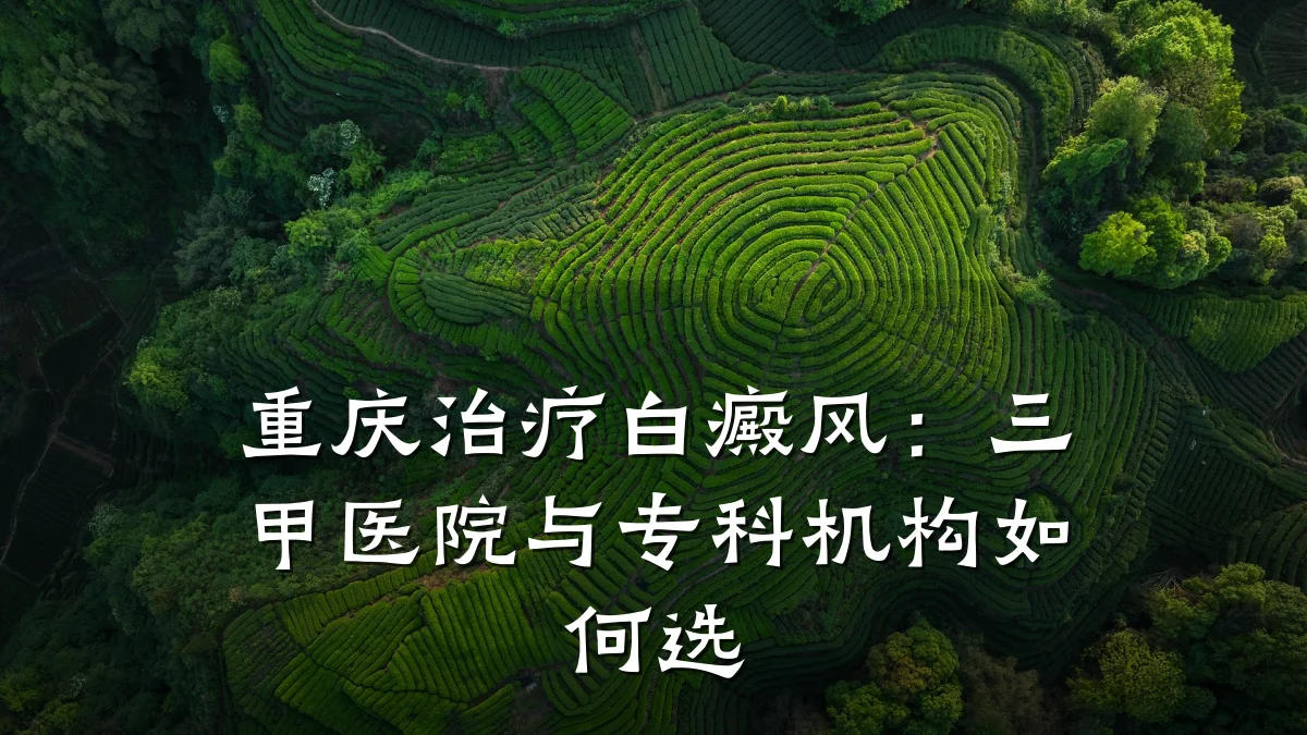 重庆治疗白癜风:三甲医院与专科机构如何选