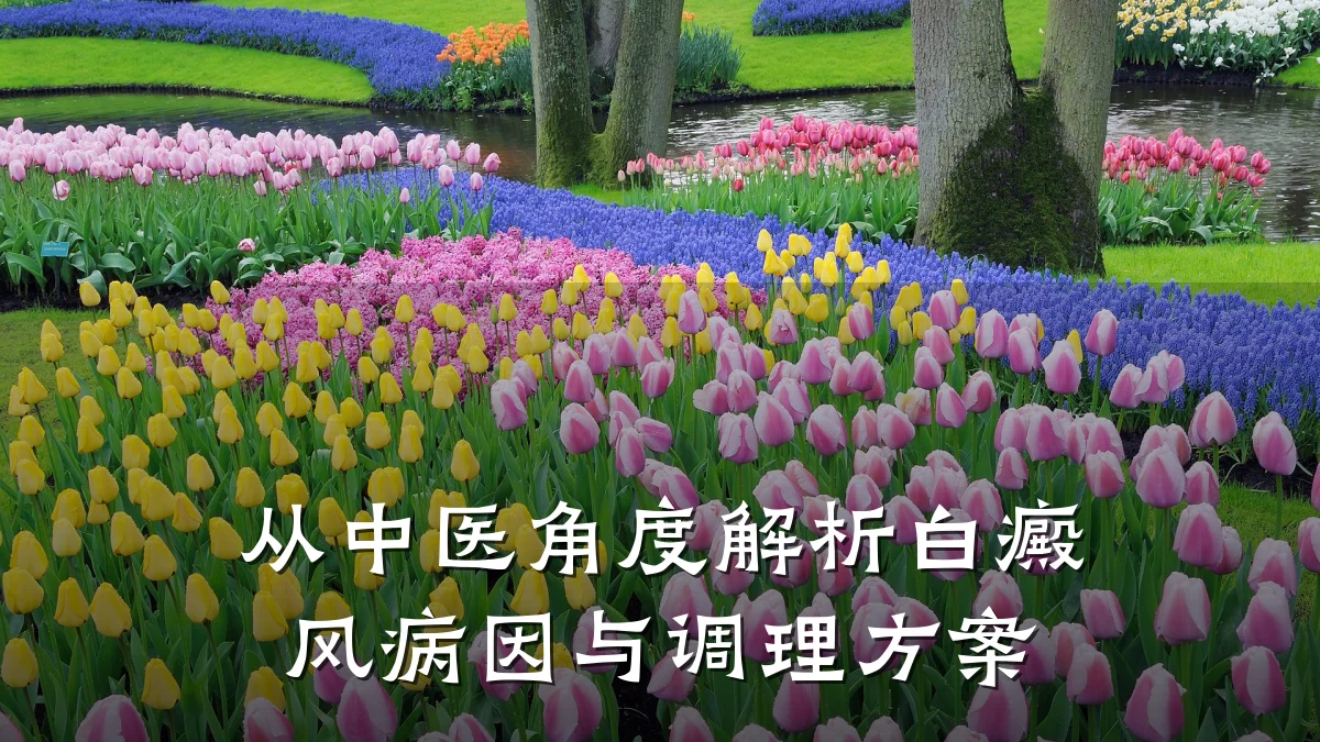 从中医角度解析白癜风病因与调理方案