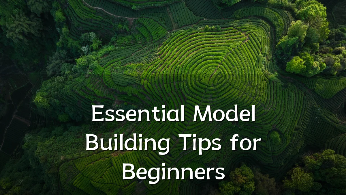 Essential Model Building Tips for Beginners