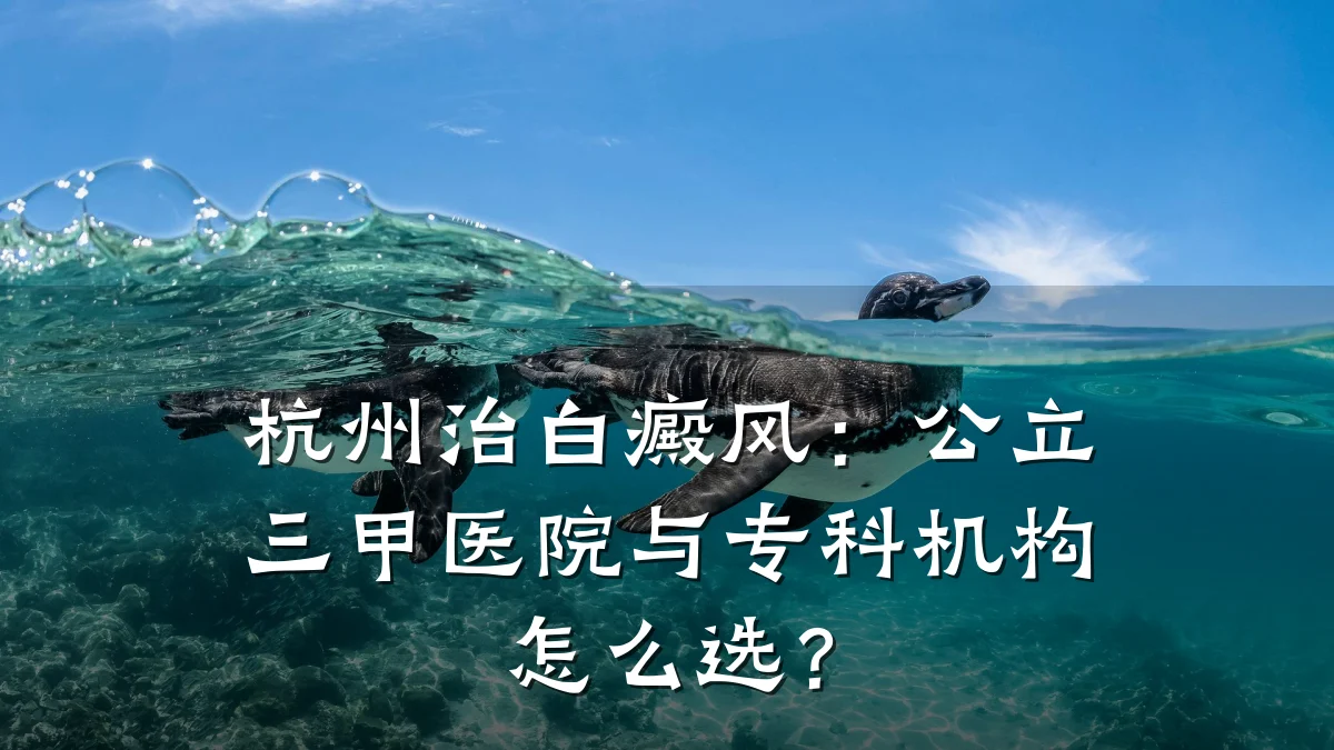 杭州治白癜风：公立三甲医院与专科机构怎么选？