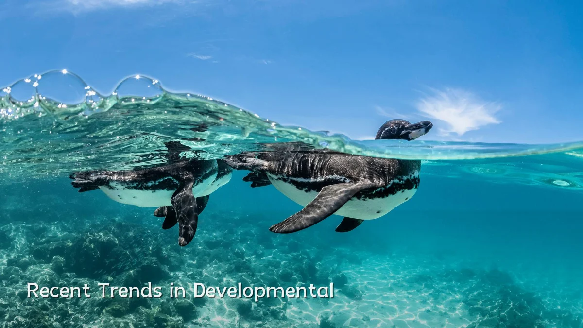 Recent Trends in Developmental
