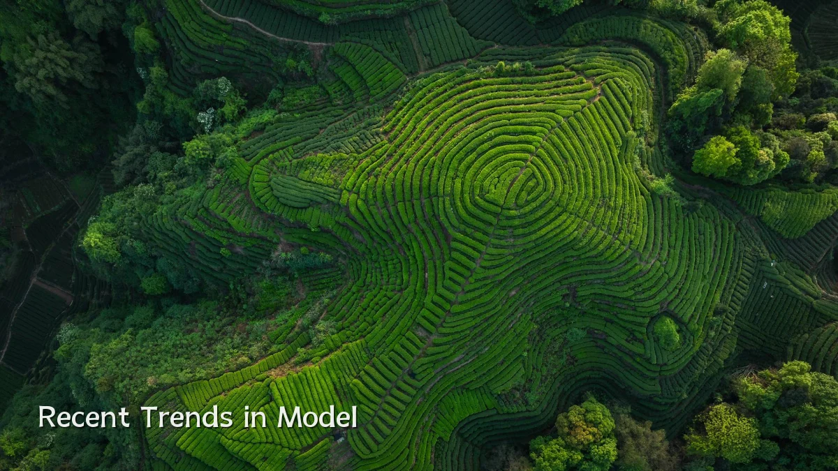Recent Trends in Model
